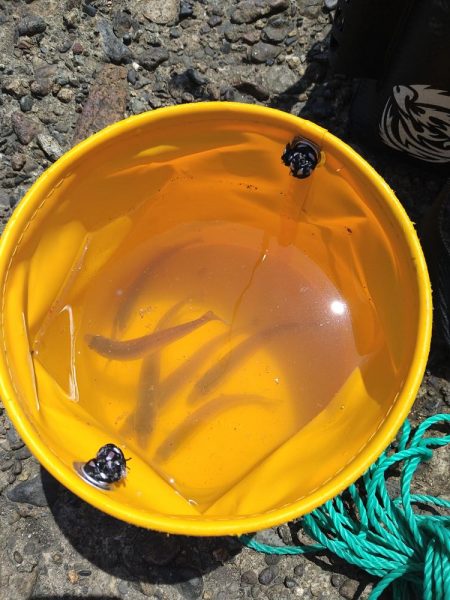 キス狙いでまさかのグレ